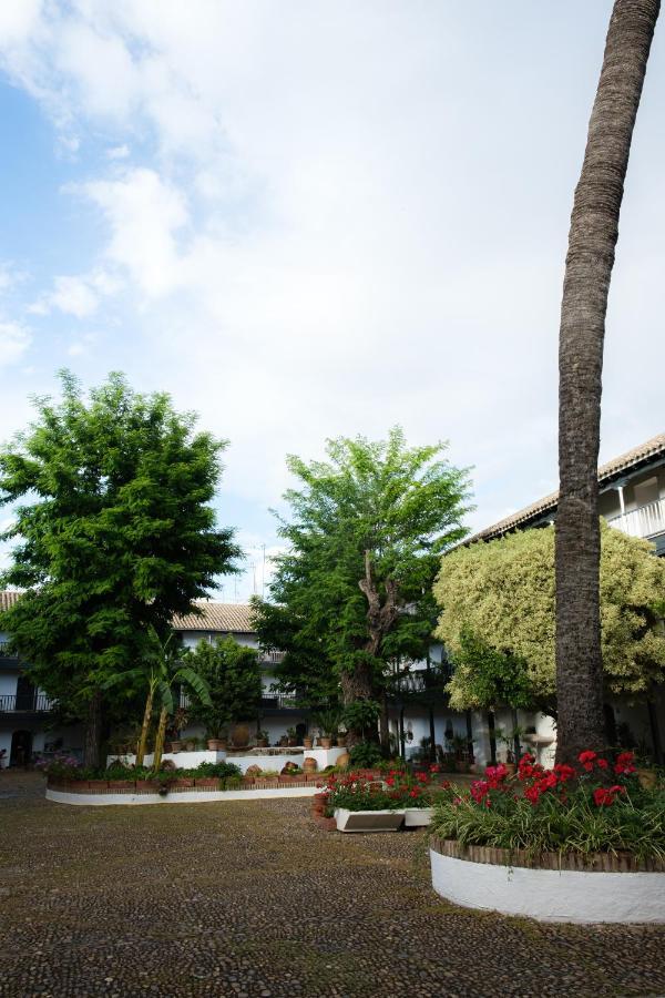 塞维利亚Vista Corral Del Conde公寓 外观 照片